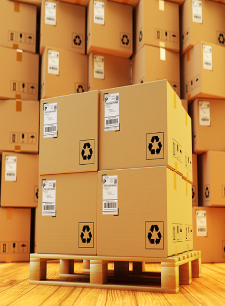 Printed Packaging Boxes